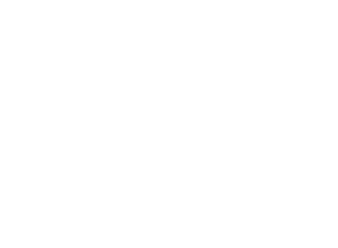 Al Azimah International for Trading & Development
