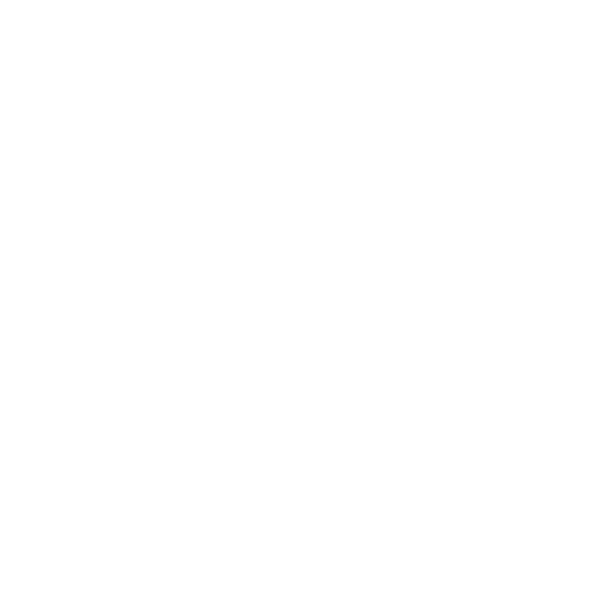 Al Azimah for Arms & Ammunition